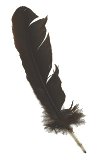 feather