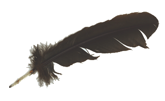 feather